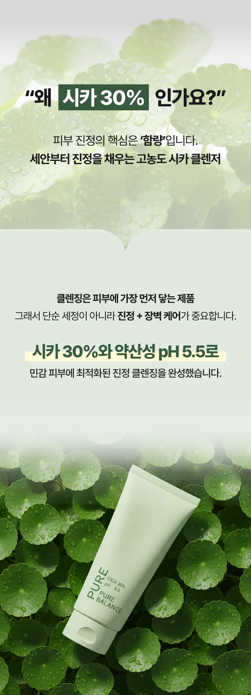 이미지 8