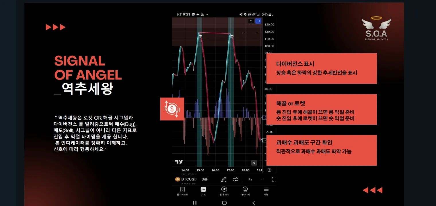 이미지 7