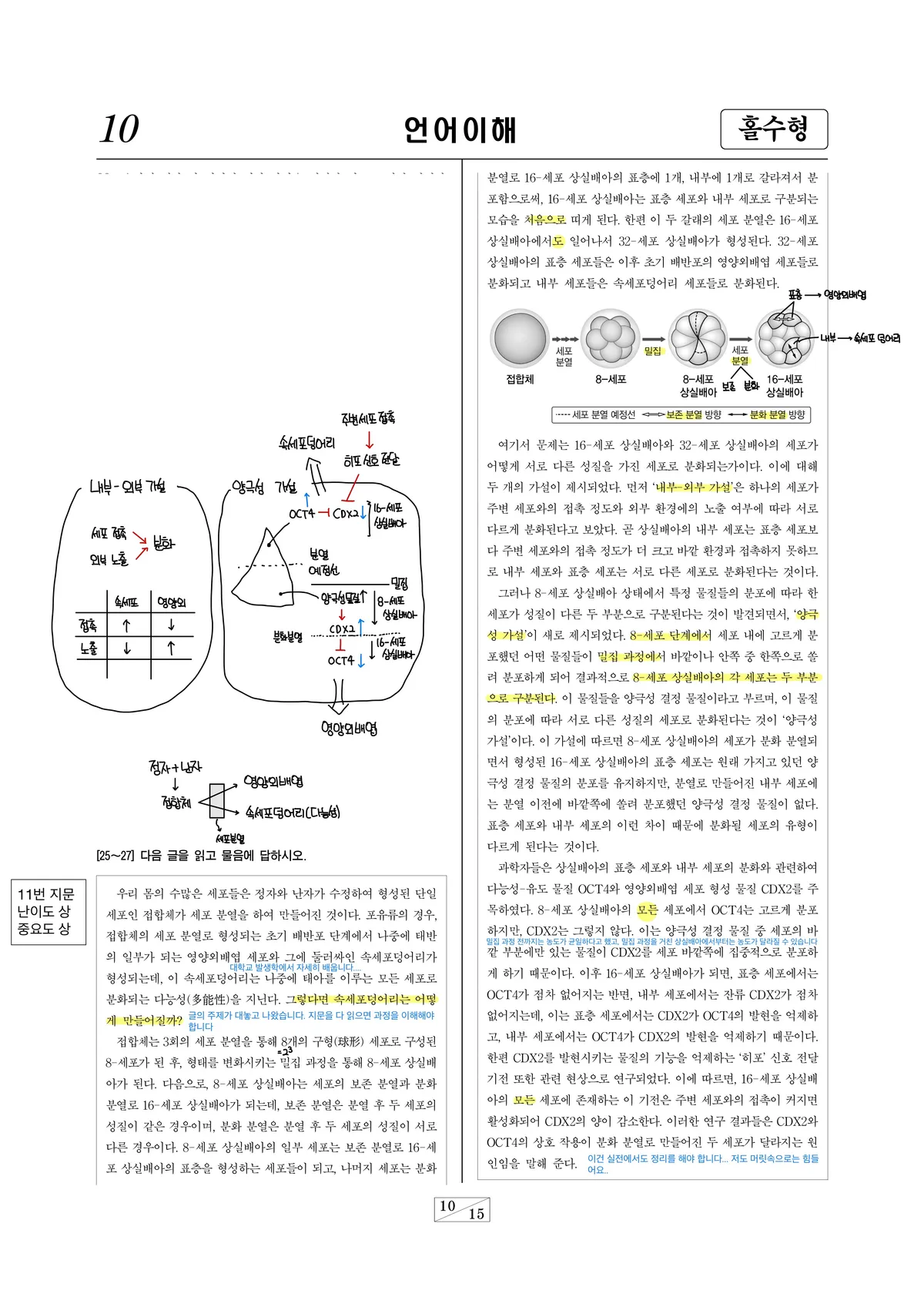 이미지 11