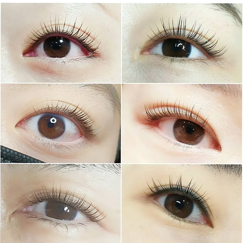 이미지 5