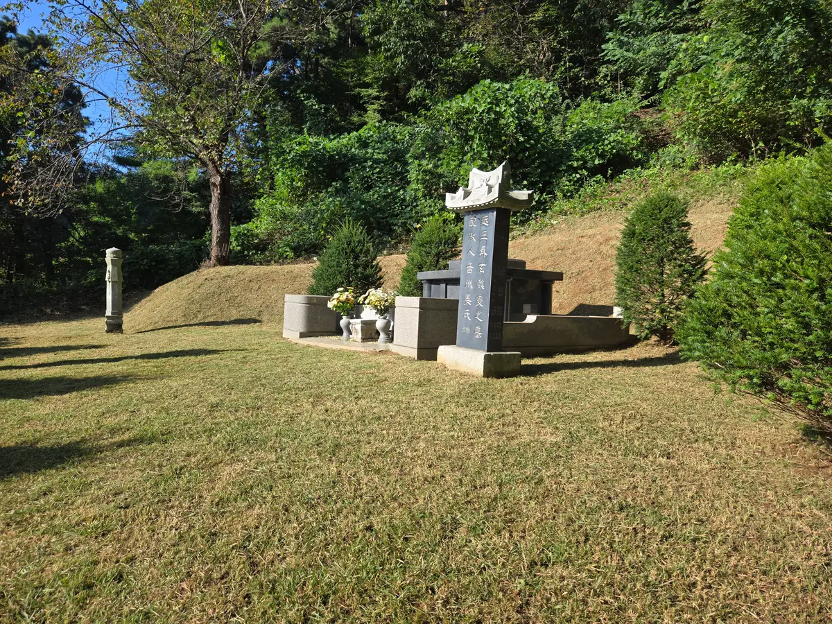이미지 5