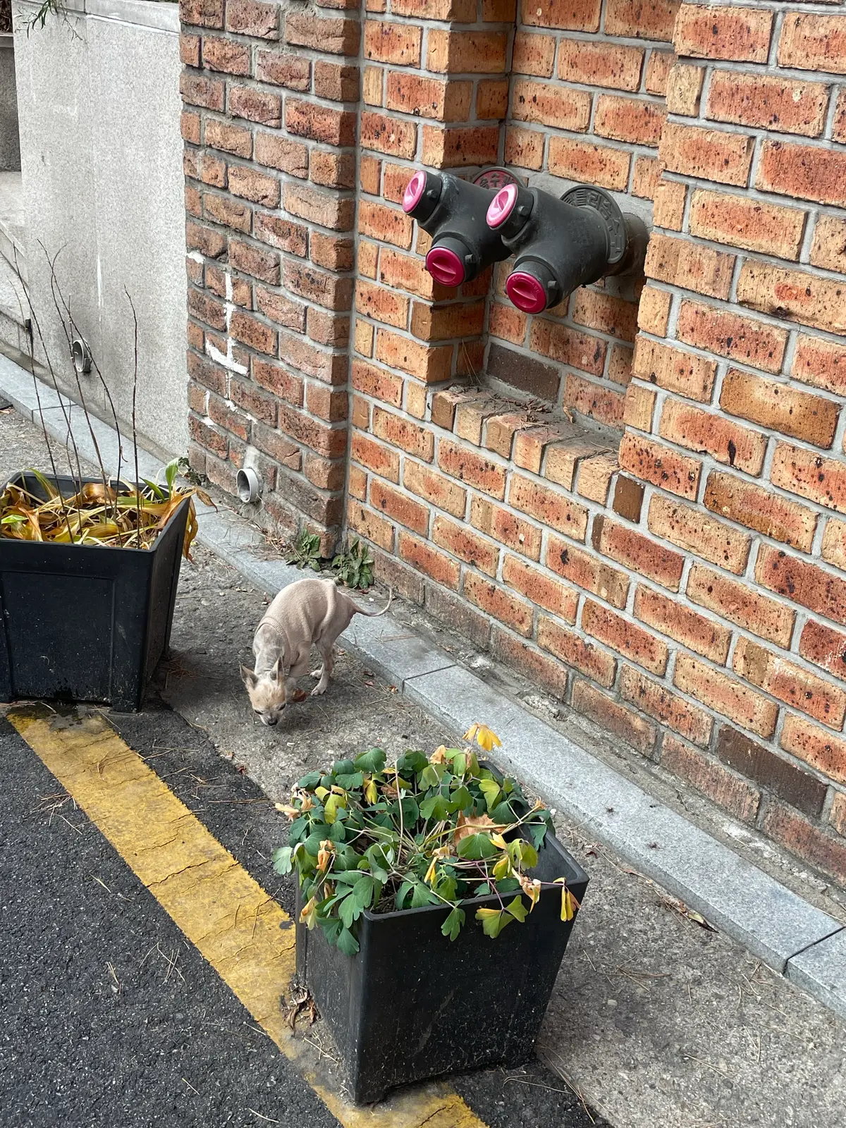 이미지 10