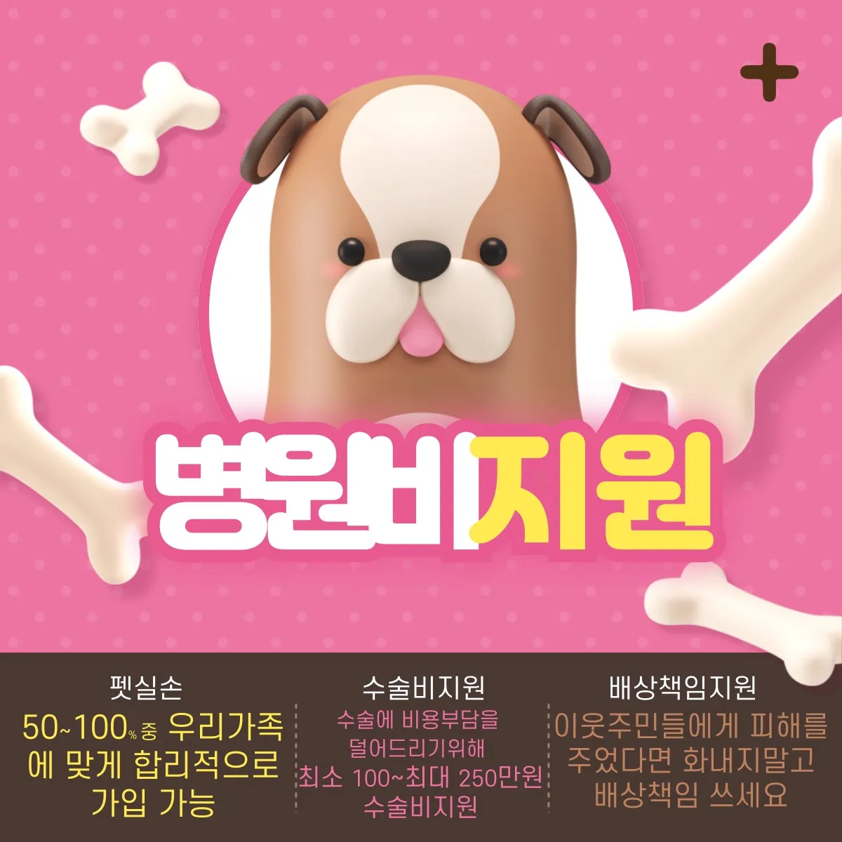 이미지 5