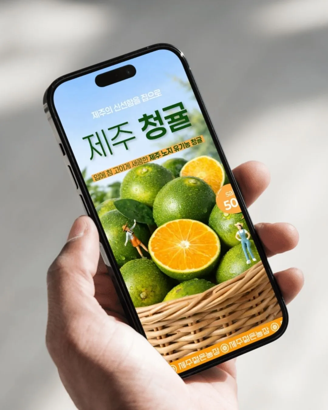 포트폴리오 이미지
