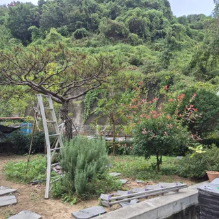 김해 진영 공장 정원관리 작업