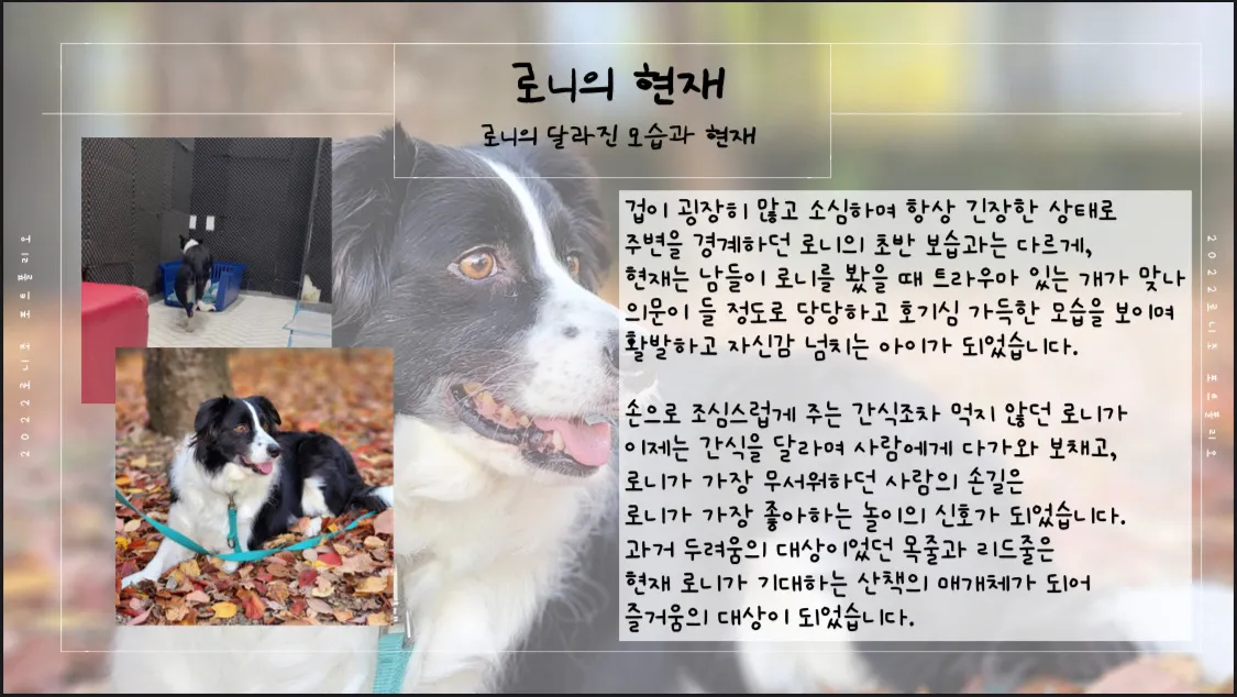 이미지 8