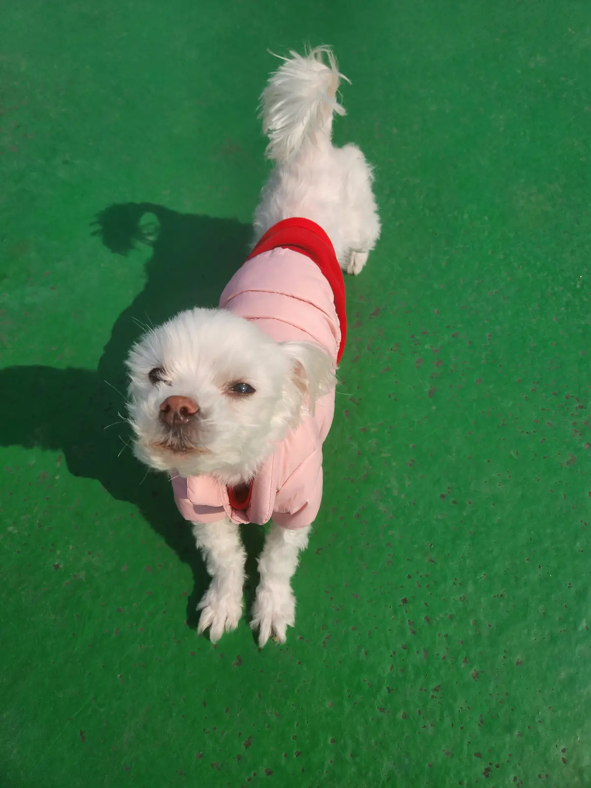 이미지 12