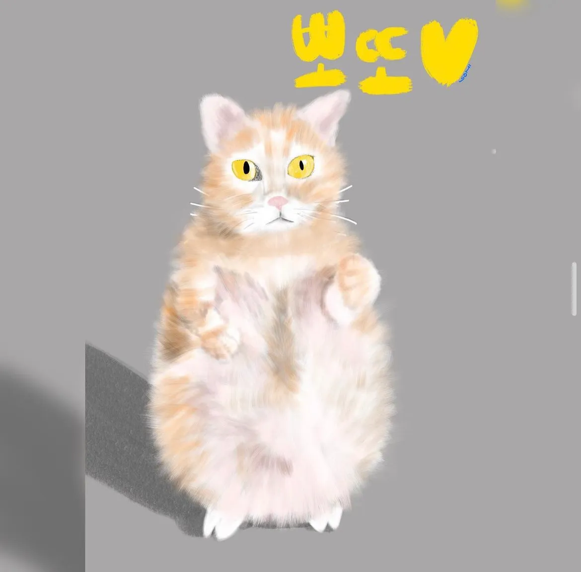 이미지 7