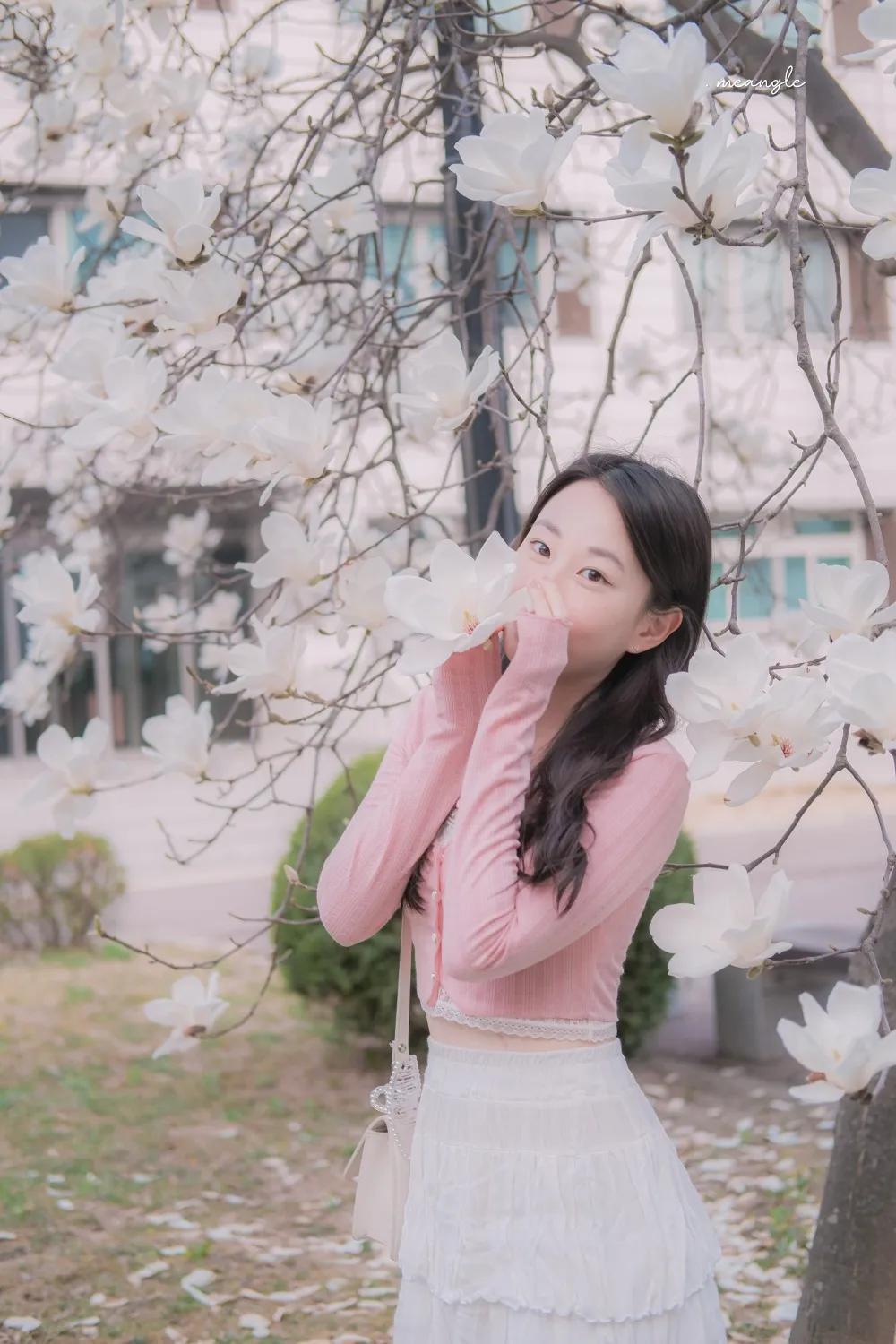이미지 11