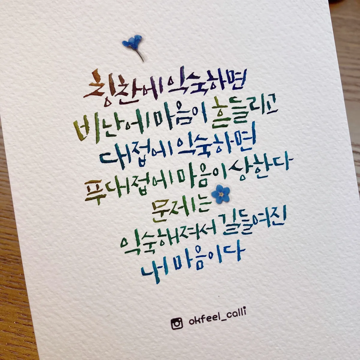 이미지 11