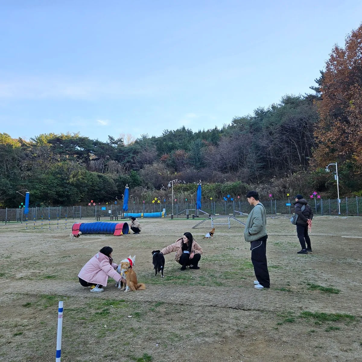 이미지 11