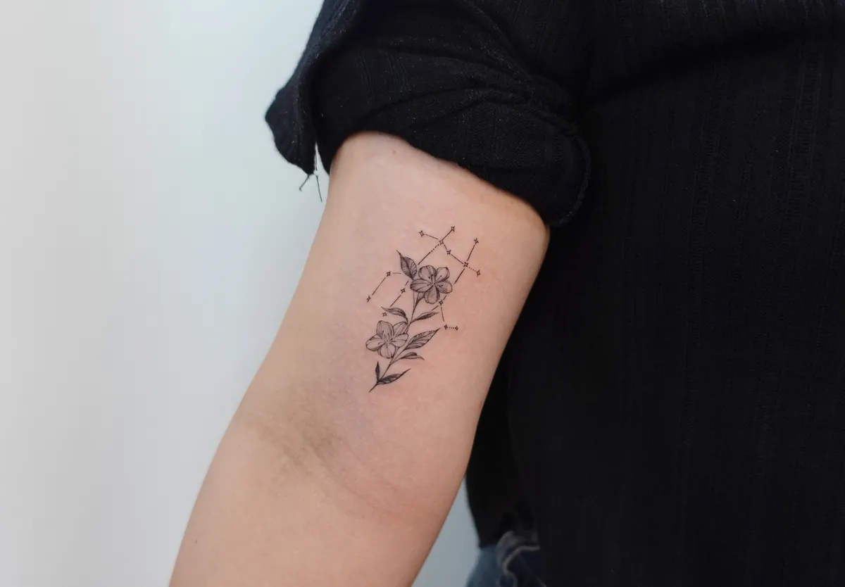 이미지 24