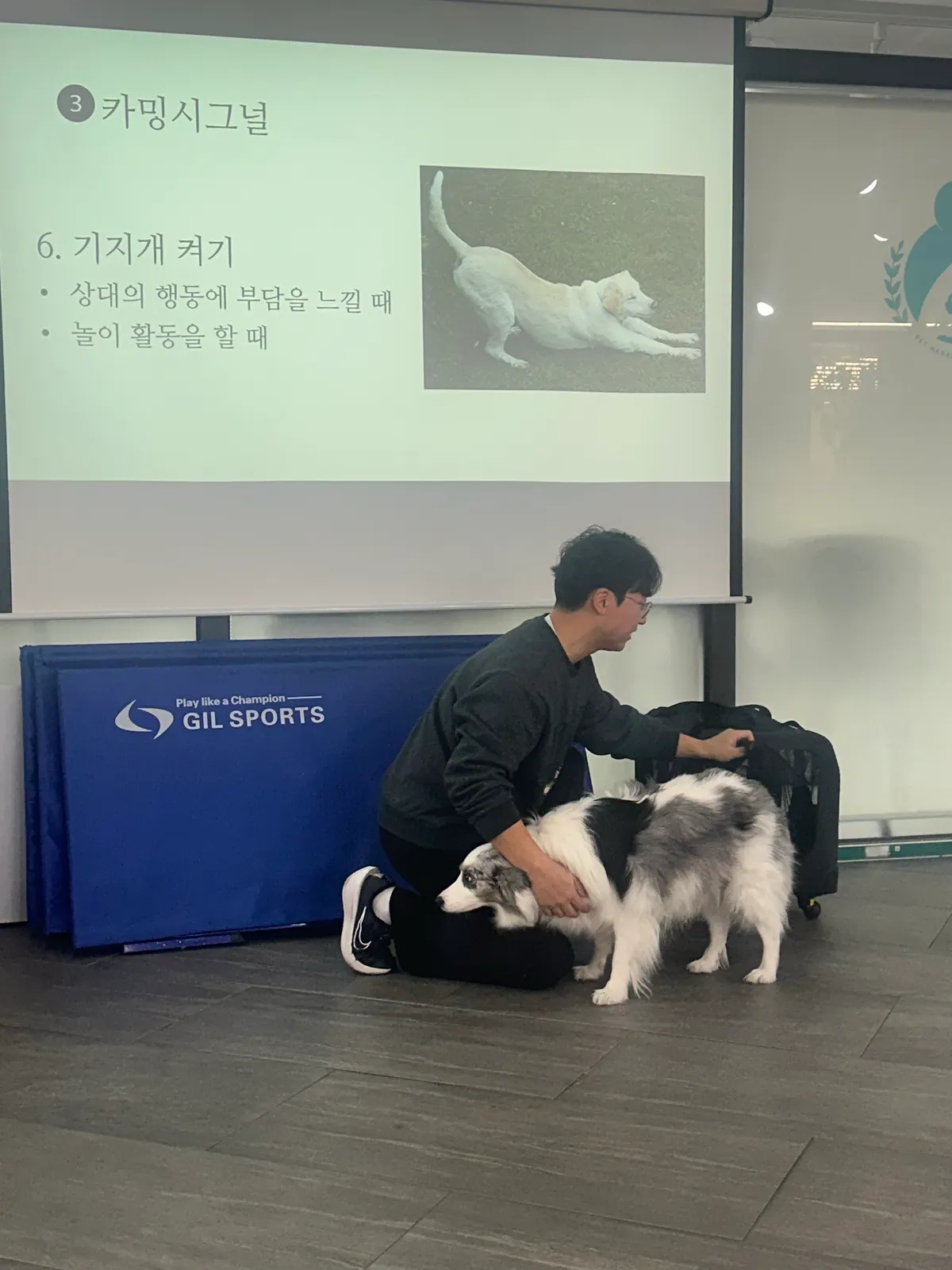 이미지 4