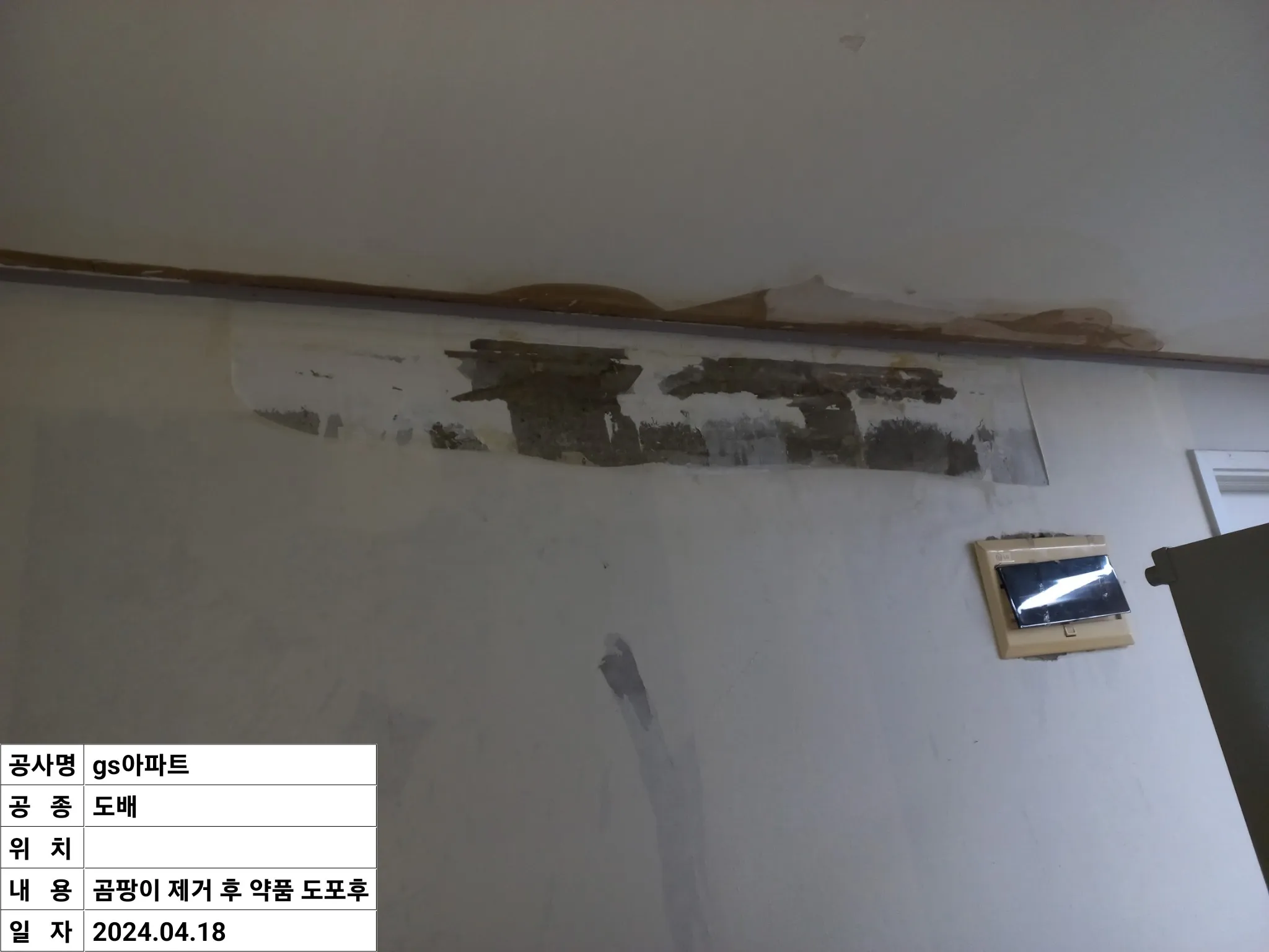 이미지 6