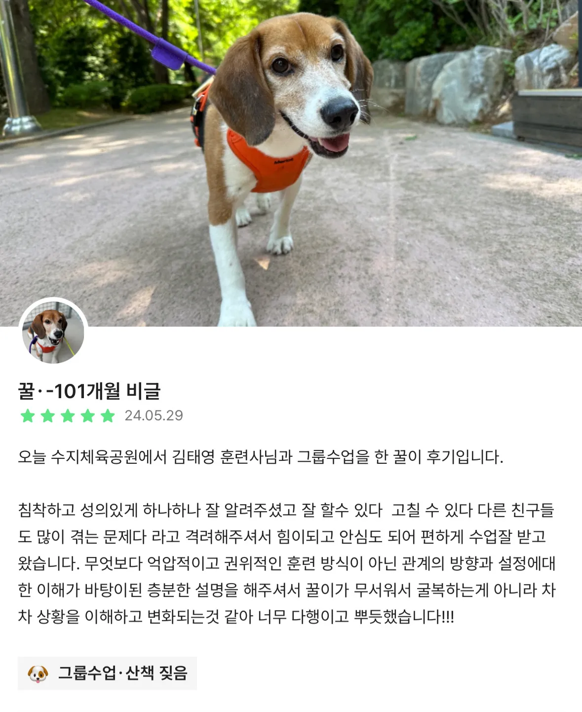 이미지 3