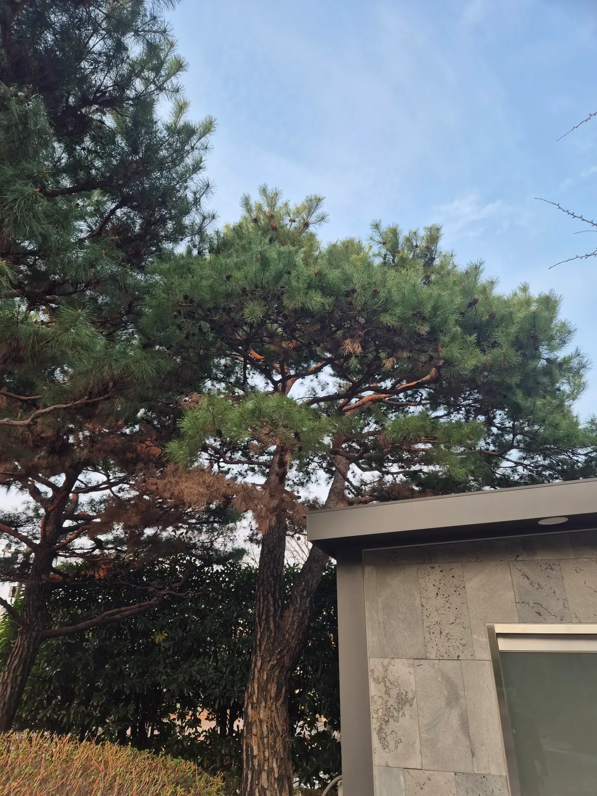 이미지 5