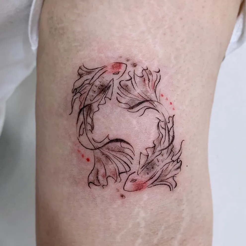 이미지 6