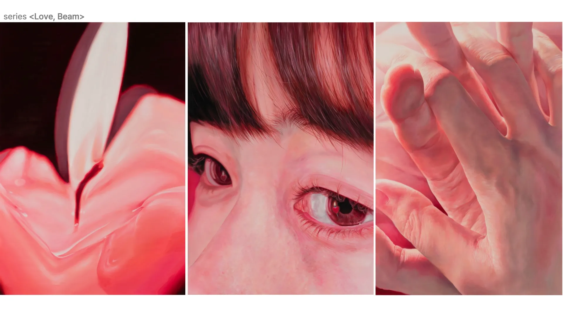 이미지 3