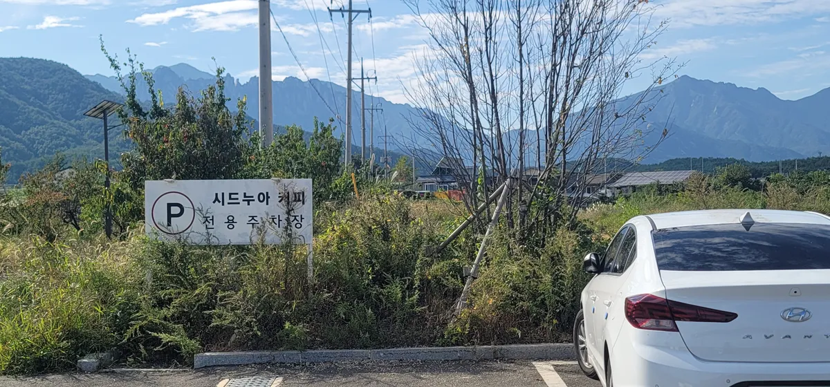 이미지 4