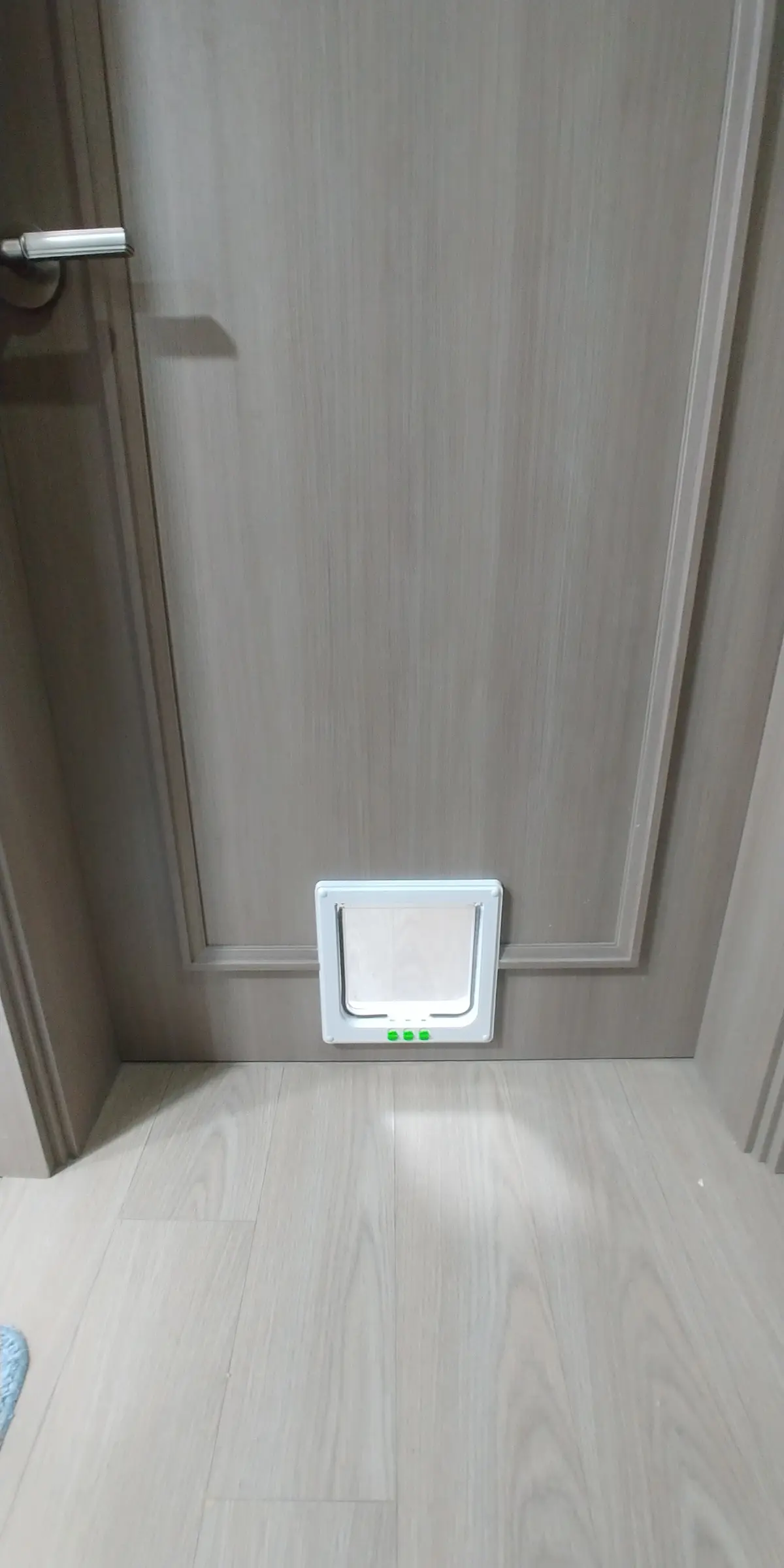 이미지 5