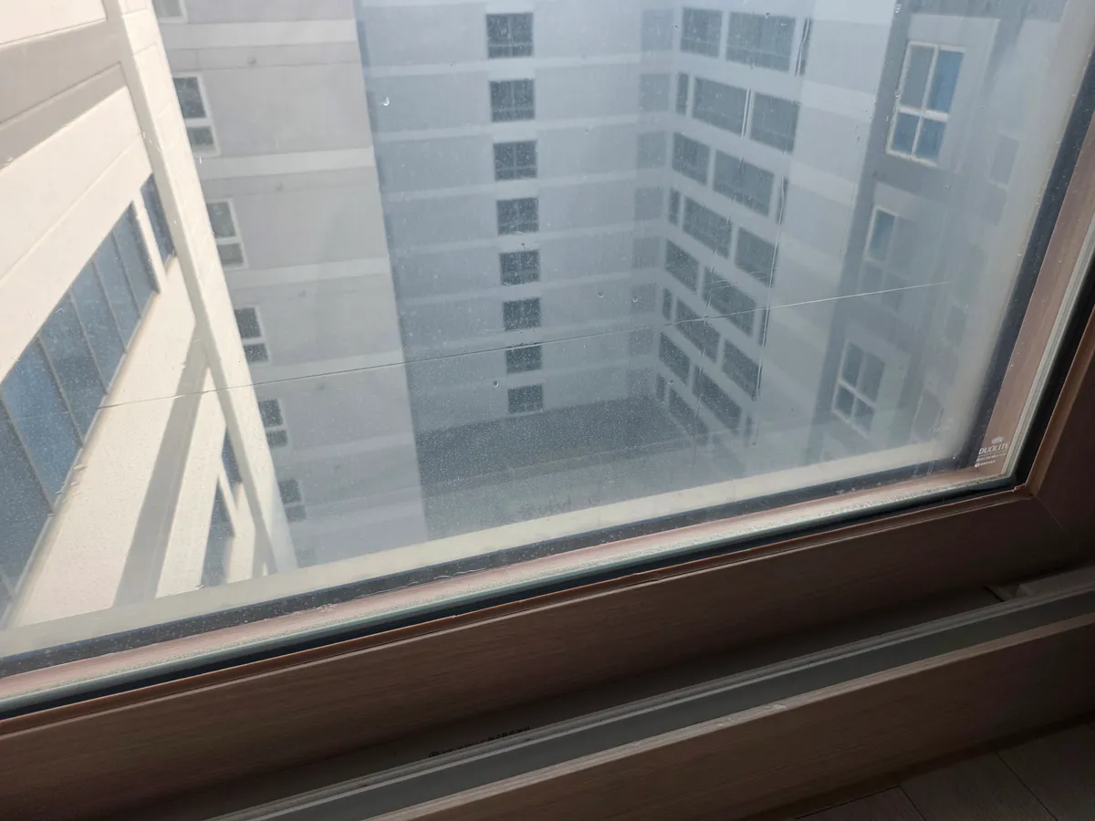 이미지 10