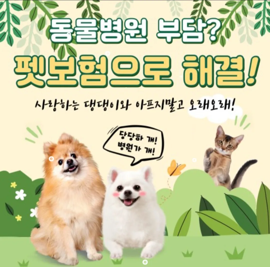이미지 8