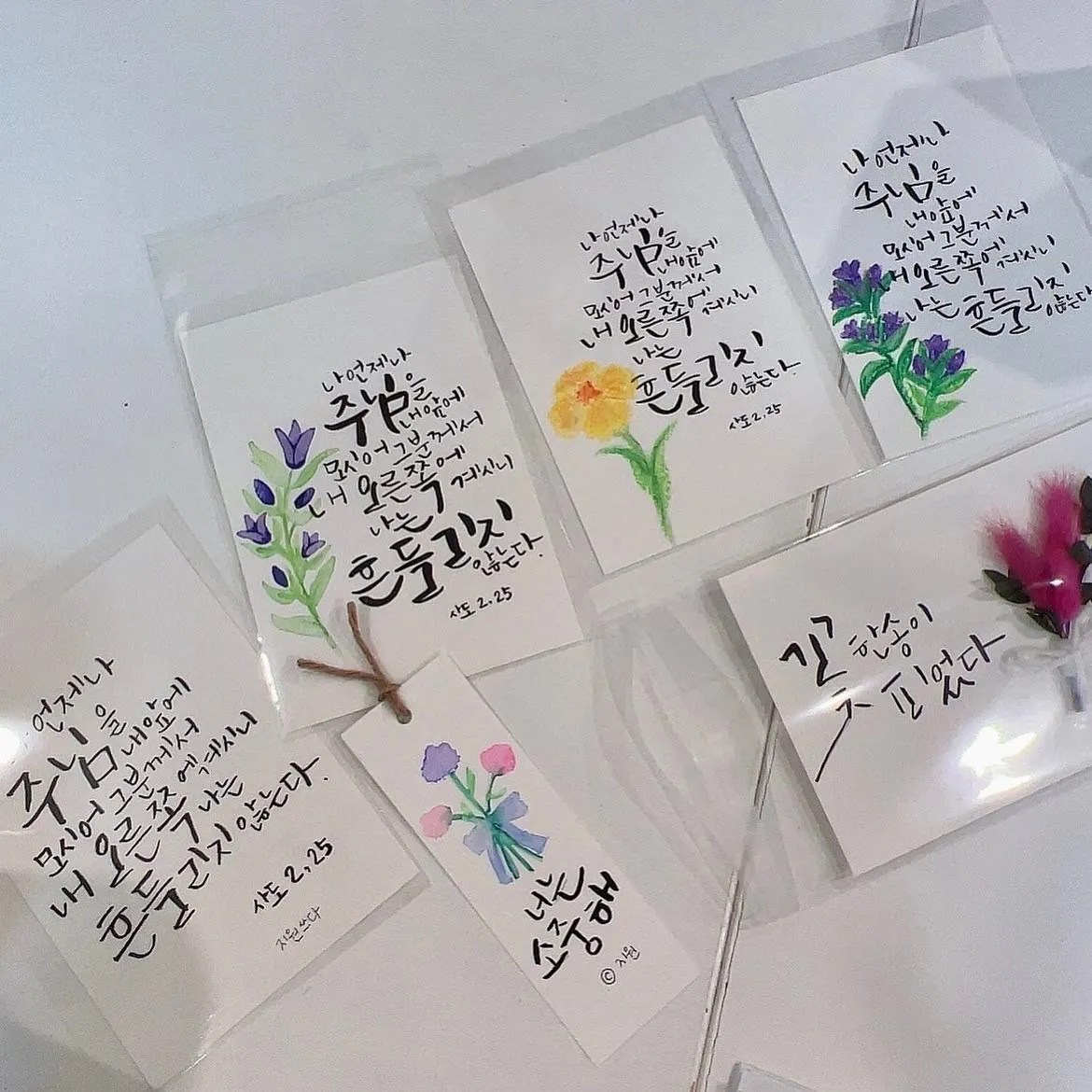 포트폴리오 이미지