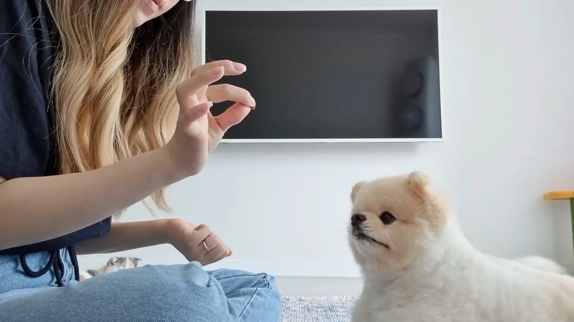 이미지 3