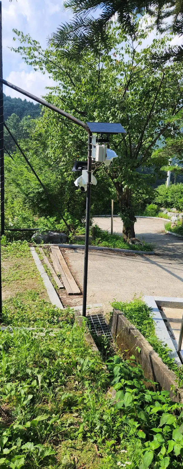 이미지 7