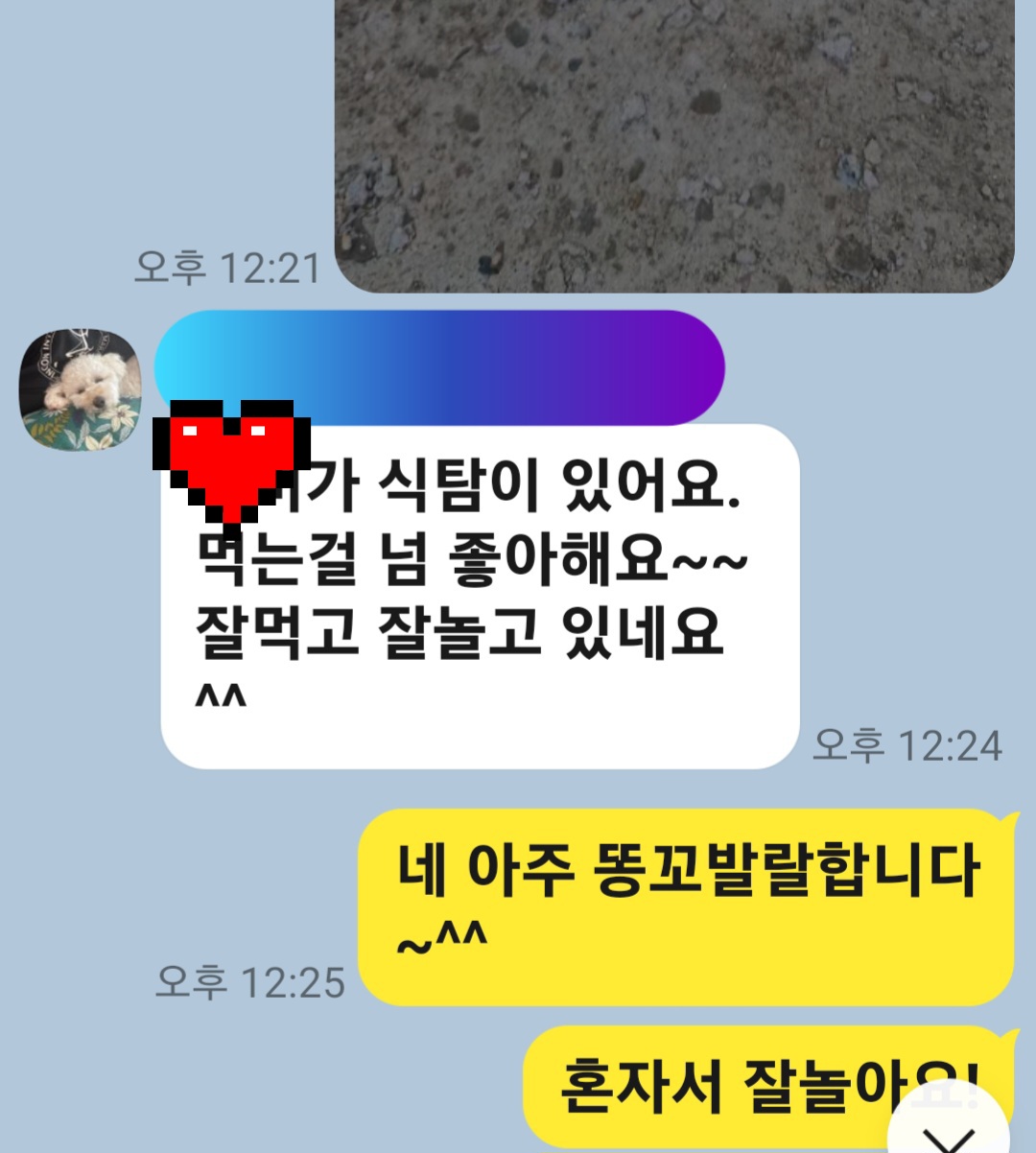 이미지 12