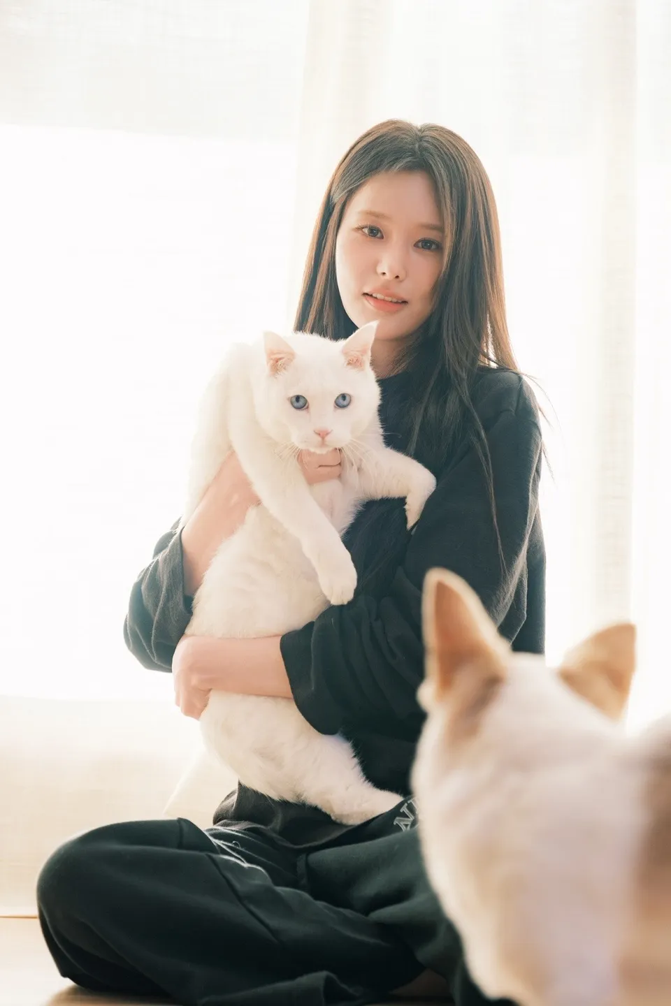 이미지 13