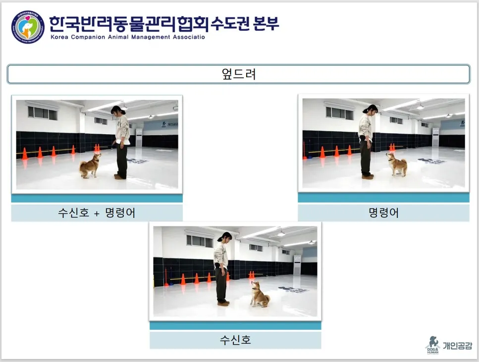 이미지 6