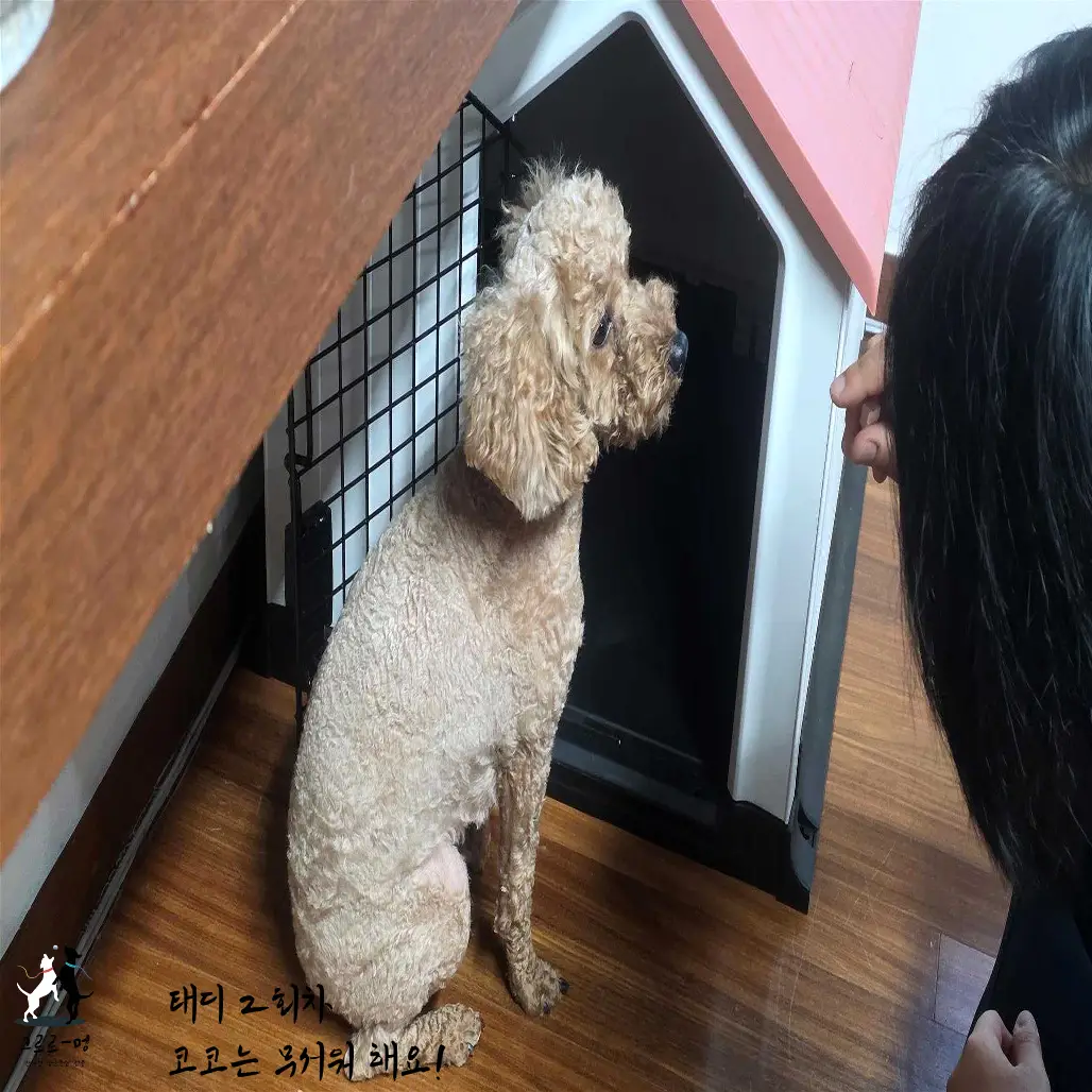 이미지 4