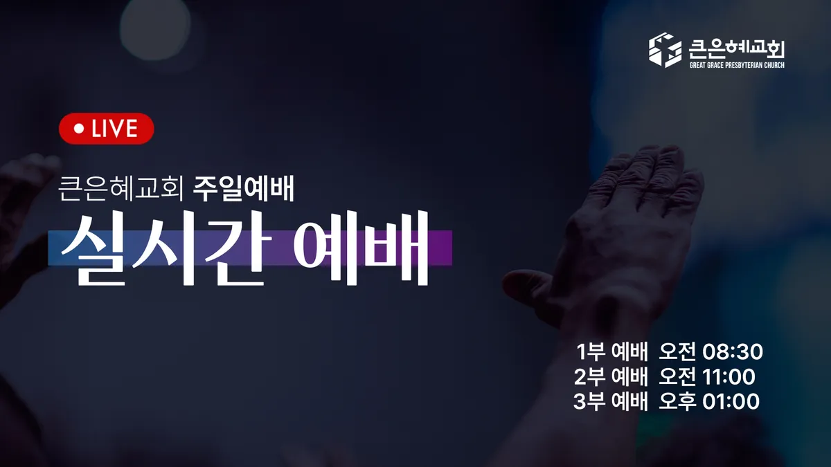 이미지 5