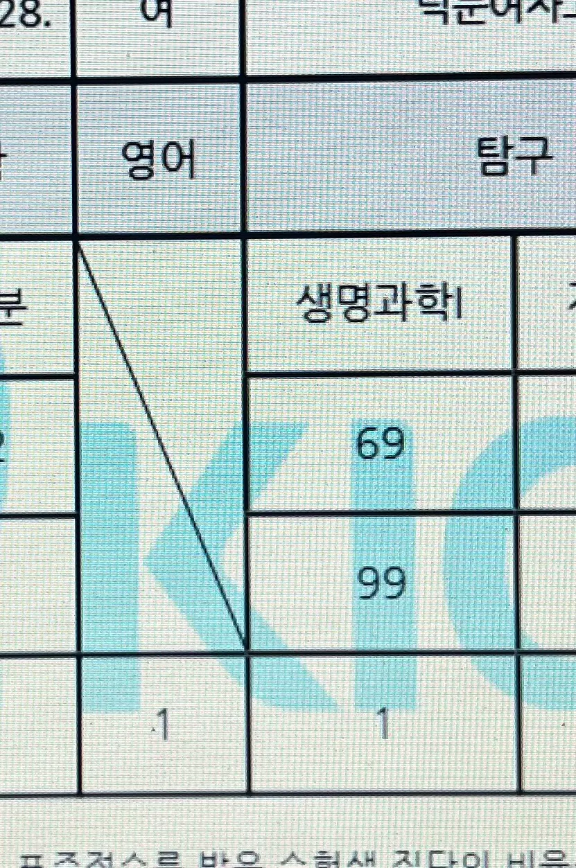 이미지 3