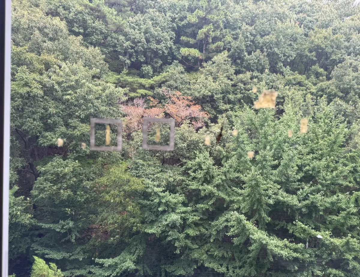 이미지 8