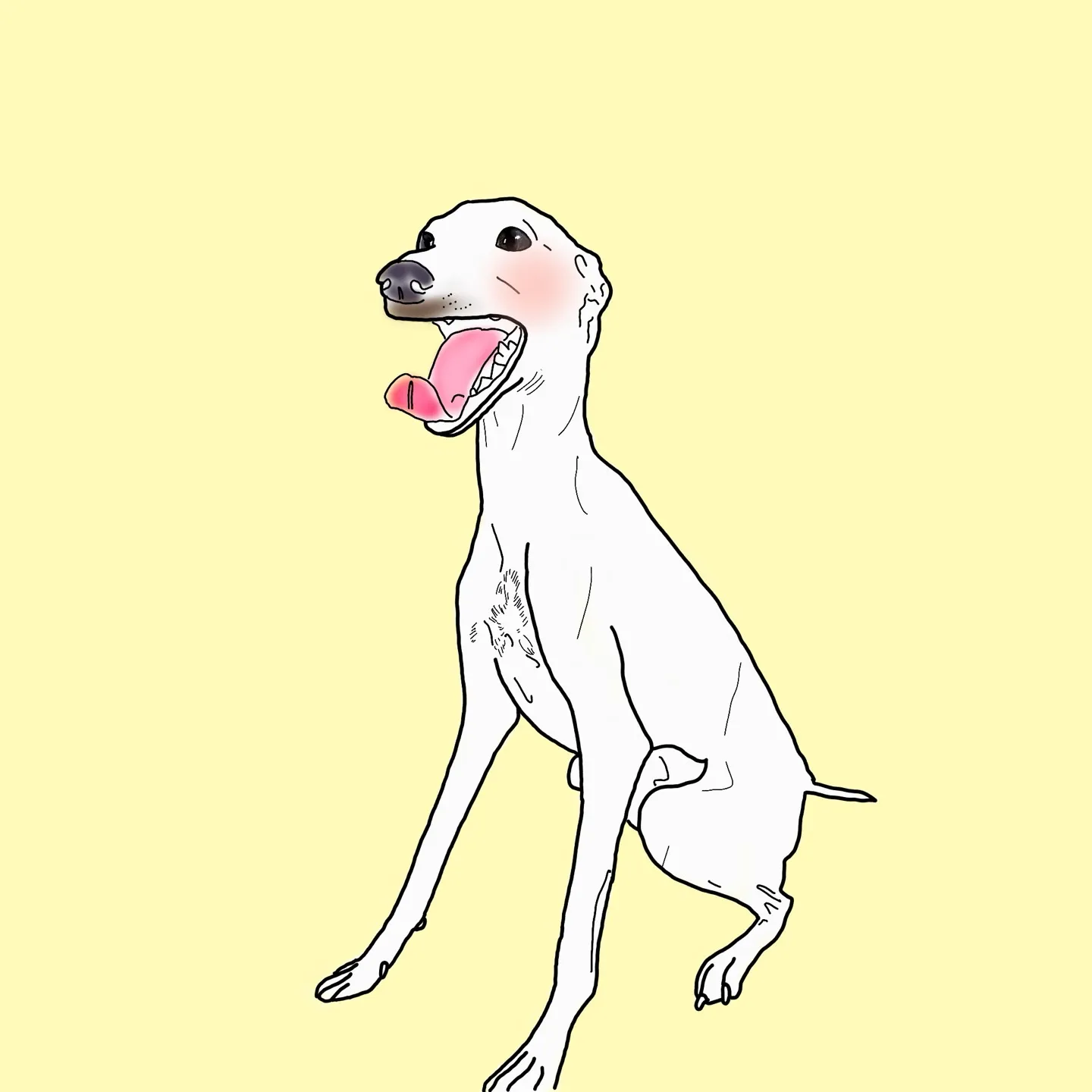 이미지 4