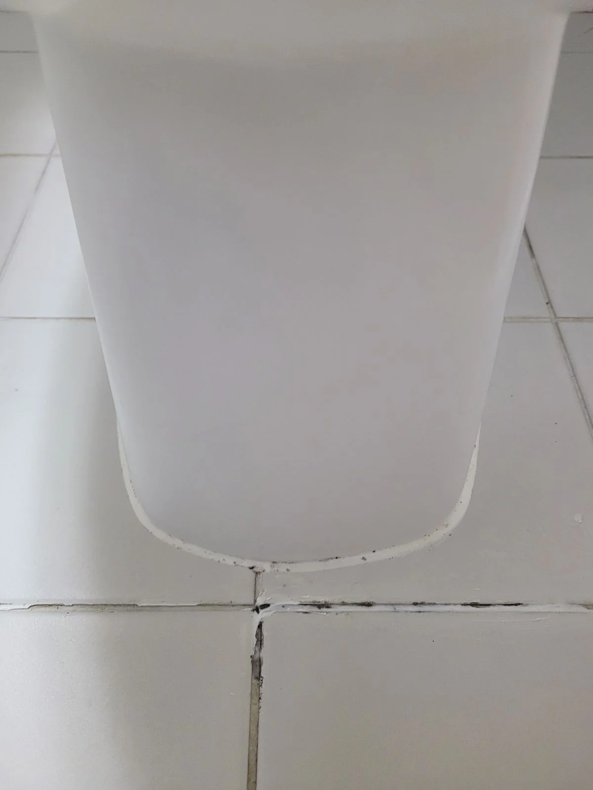 이미지 8
