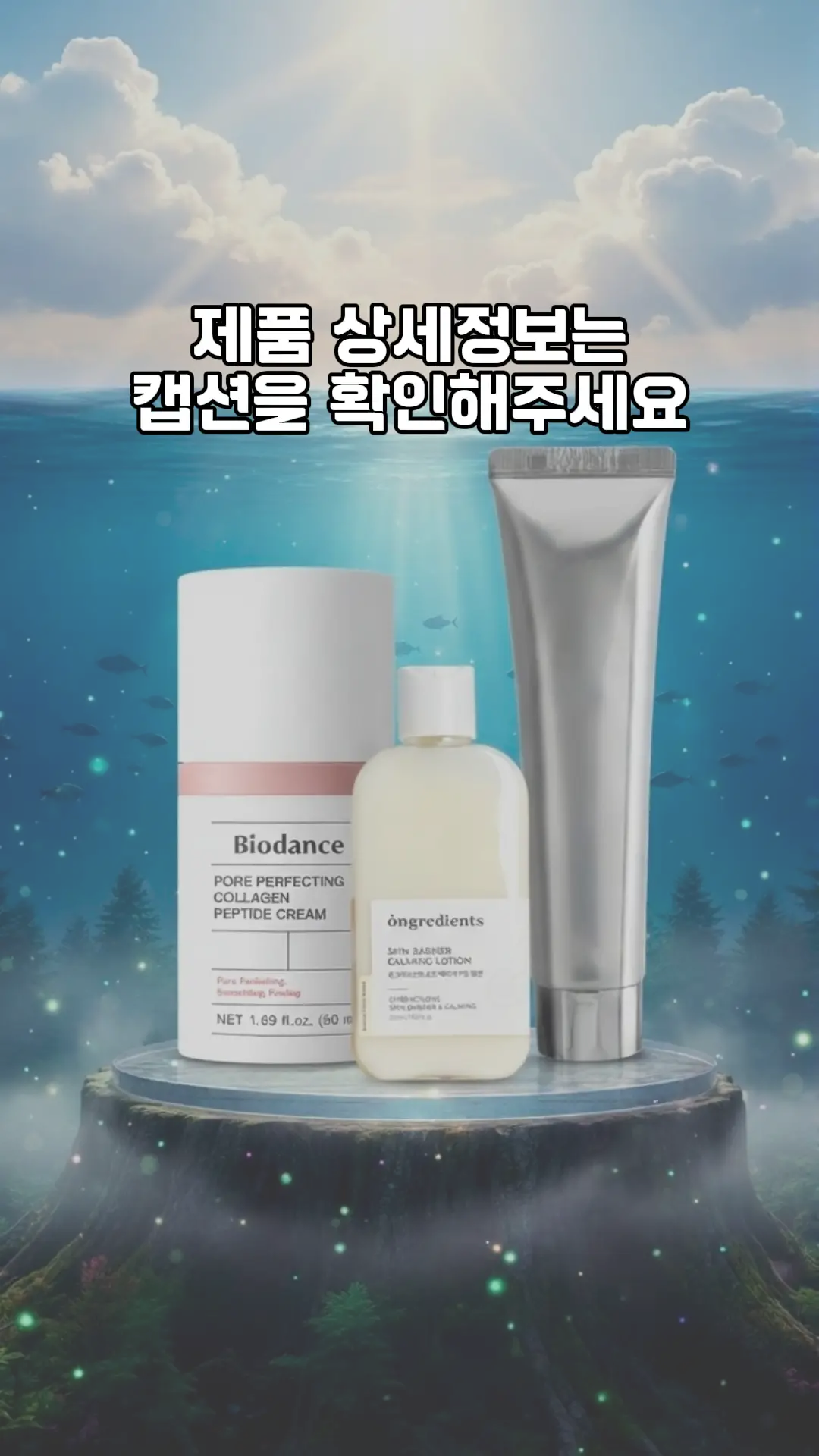 이미지 11
