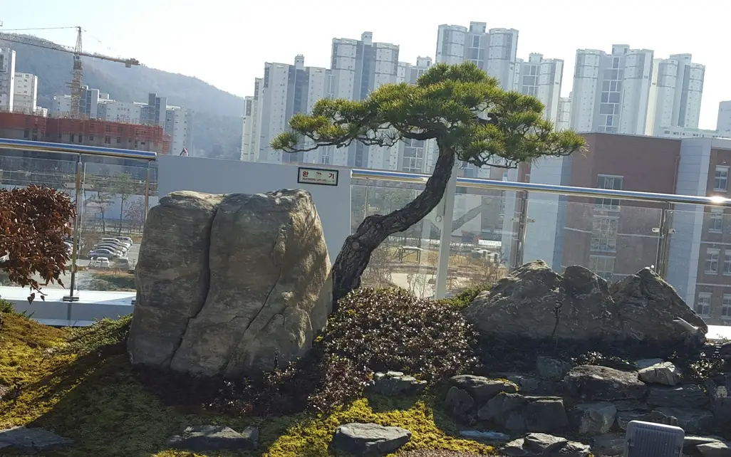 이미지 6