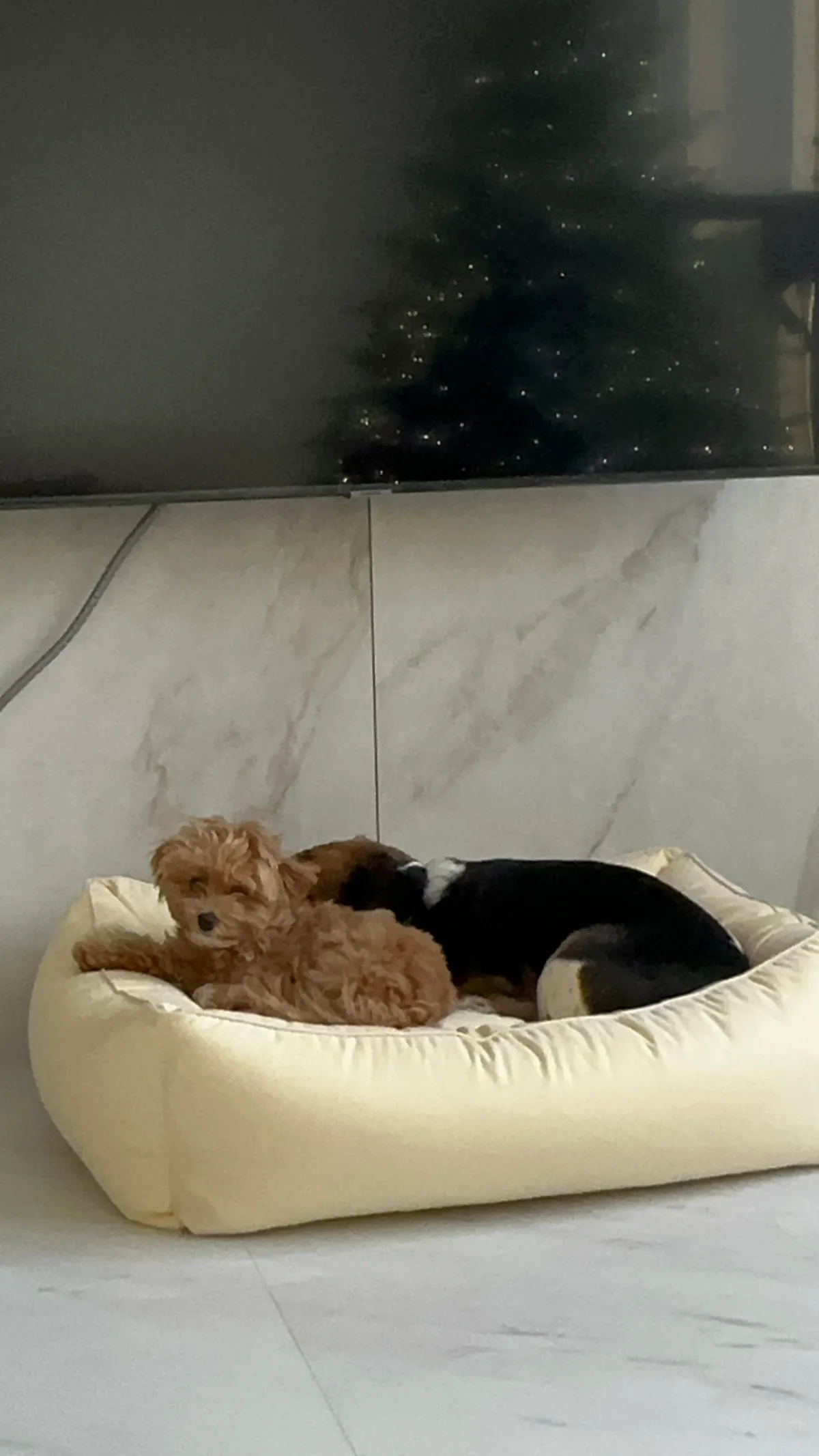 이미지 3