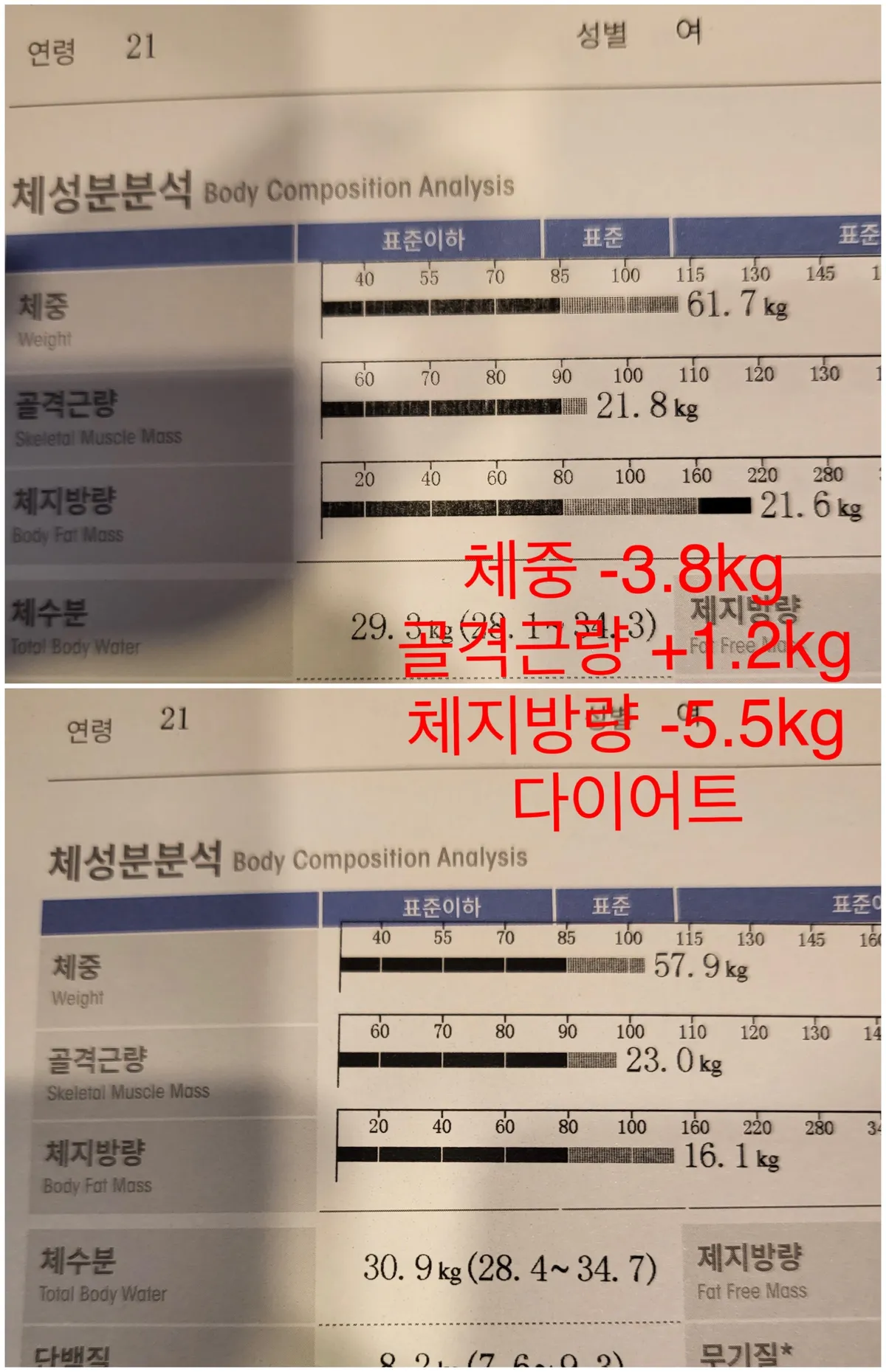 이미지 8