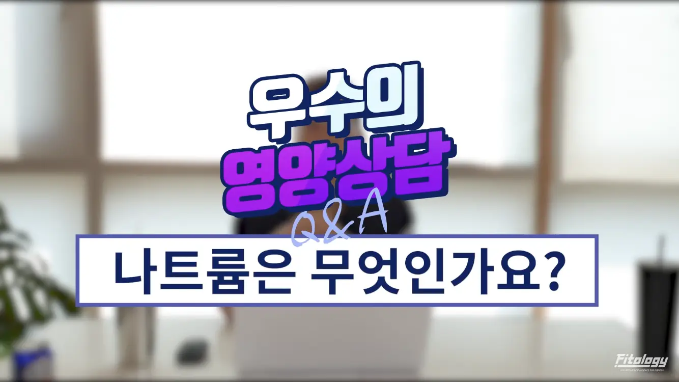 이미지 5
