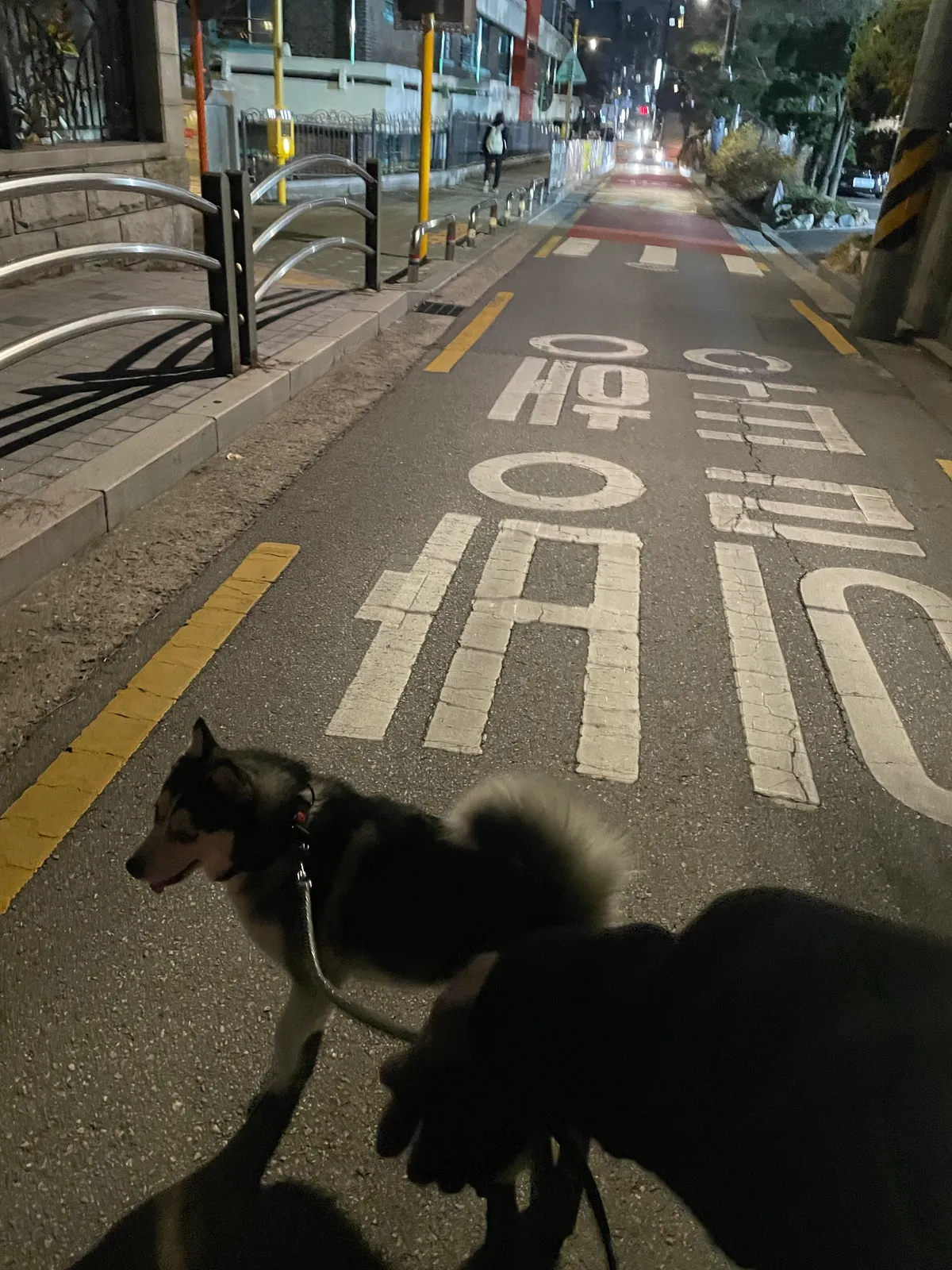 이미지 6