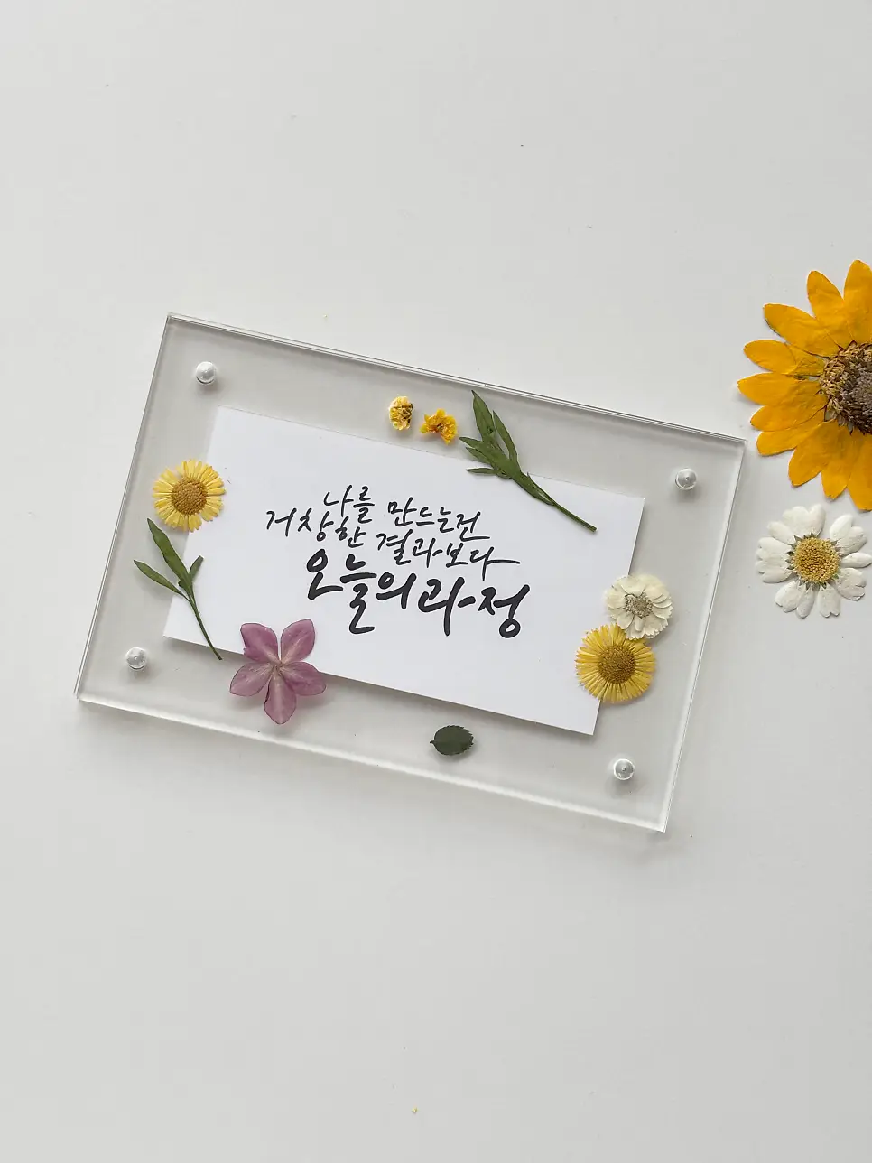 이미지 4