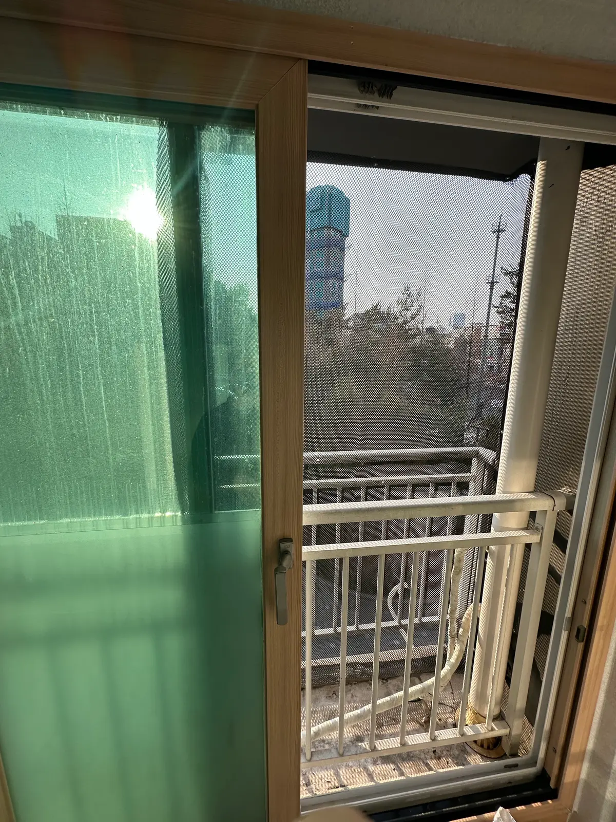 이미지 10