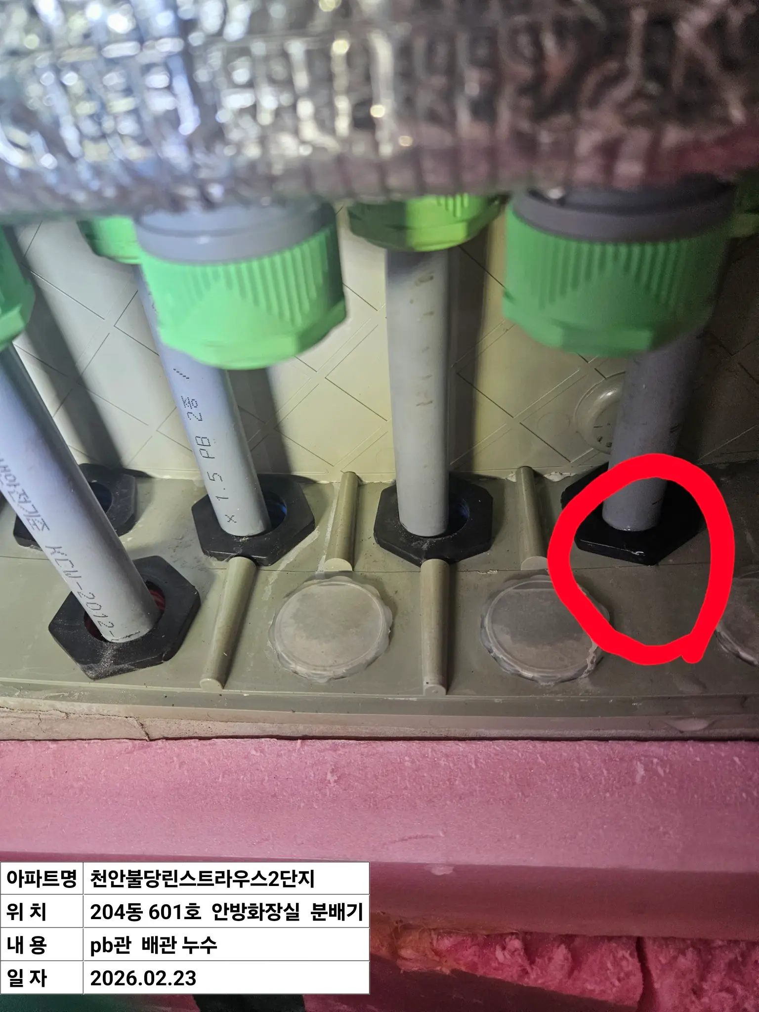 이미지 24
