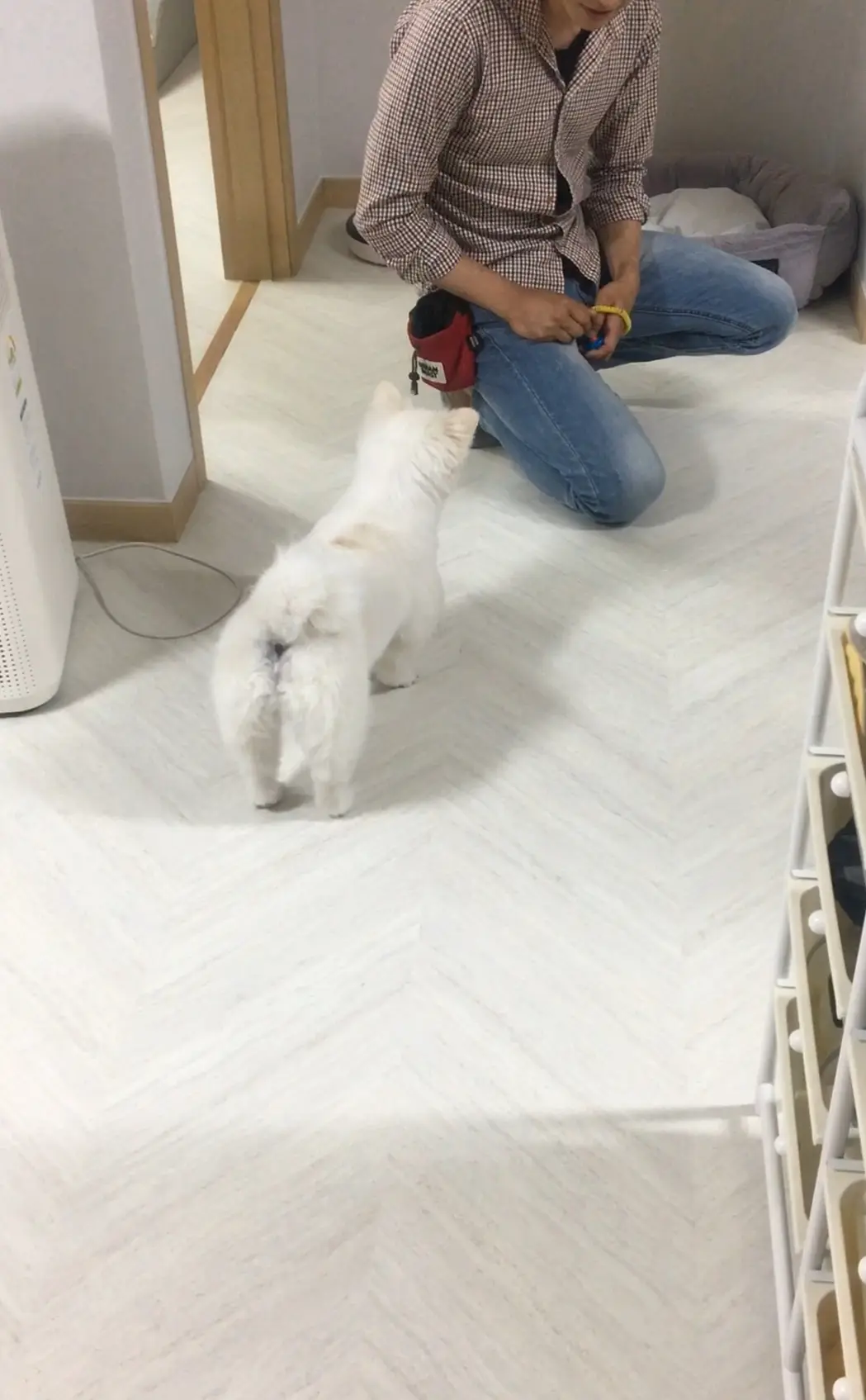 이미지 6