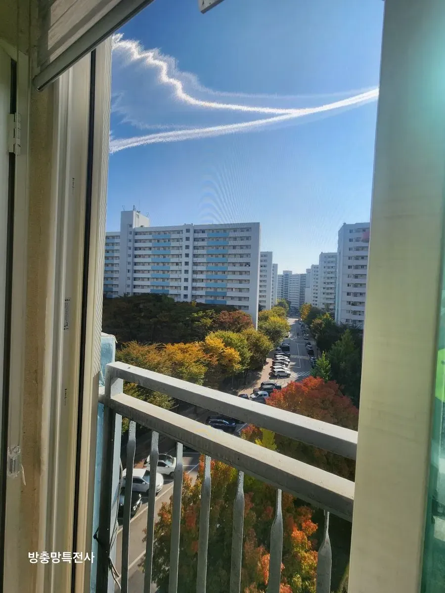 이미지 16