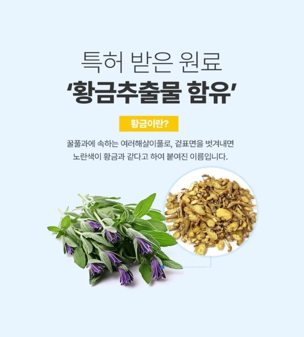 이미지 7